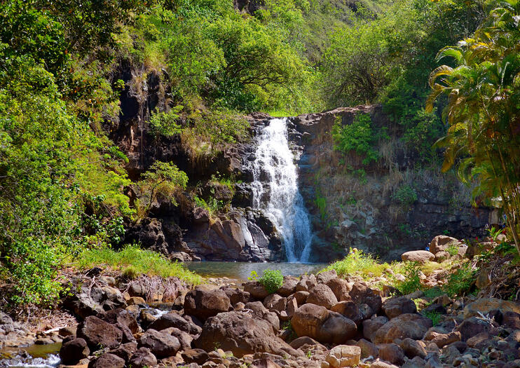 Waimea Valley